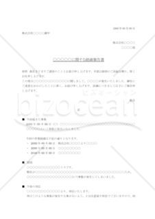 経緯報告書 顧客向け Bizocean ビズオーシャン