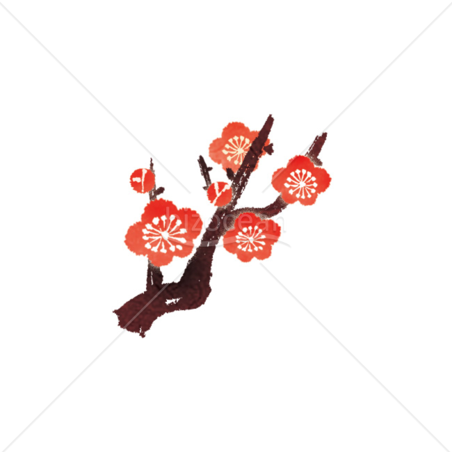 「イラスト」梅の枝