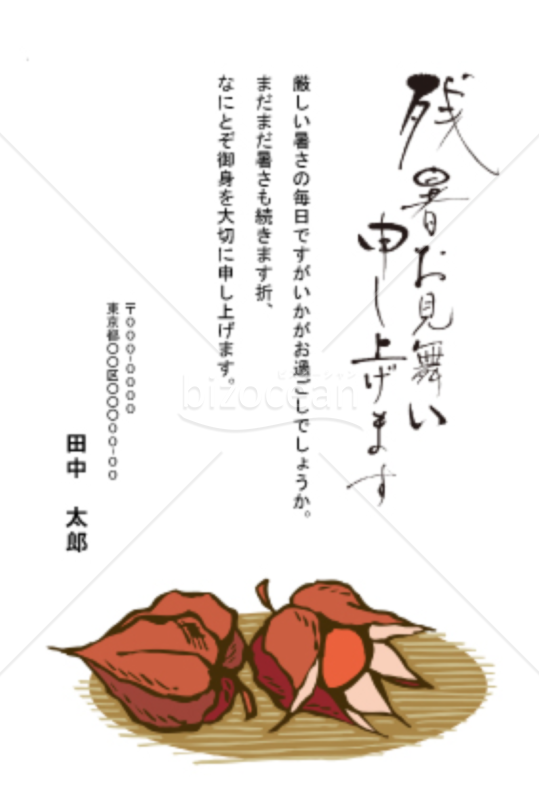 ホオズキの実の残暑見舞いハガキ