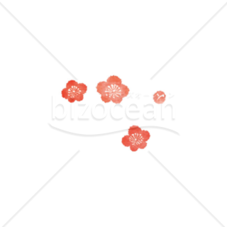 「イラスト」複数の梅の花　ピンク　