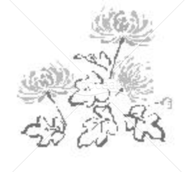 ３輪の菊の花の喪中イラスト（モノクロ）