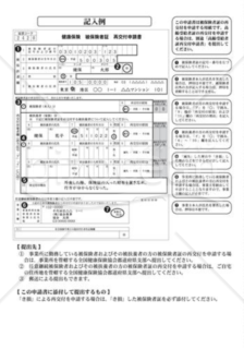 健康保険被保険者証再交付申請書（記入例）（全国健康保険協会版）