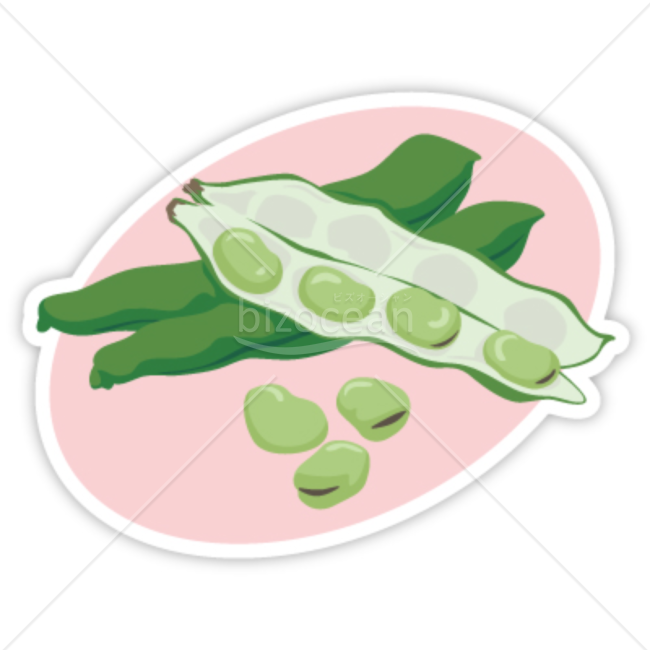 そら豆のイラスト