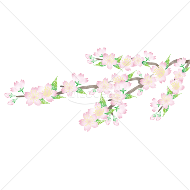 桜枝付きクリップアート　JPG