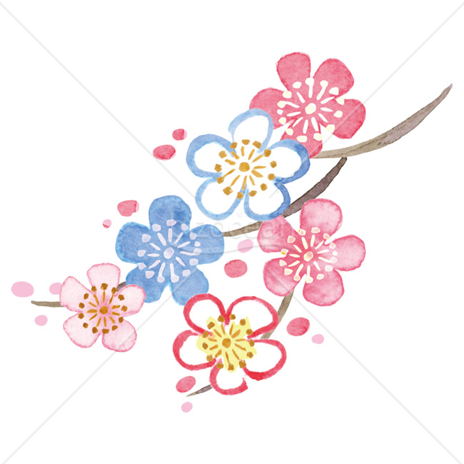 【2026年】「イラスト」新春を彩る華やかな水彩の梅