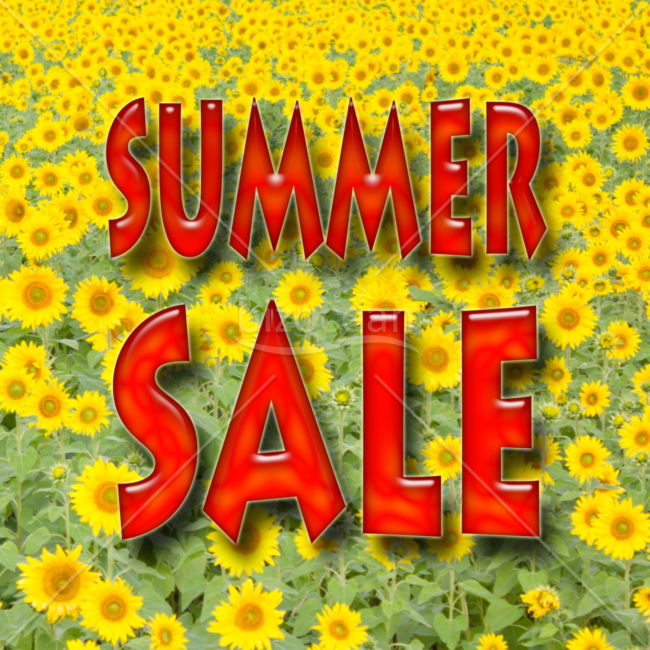 販促POP広告_SUMMERSALL(ひまわり)