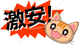 激安！～猫もビックリ