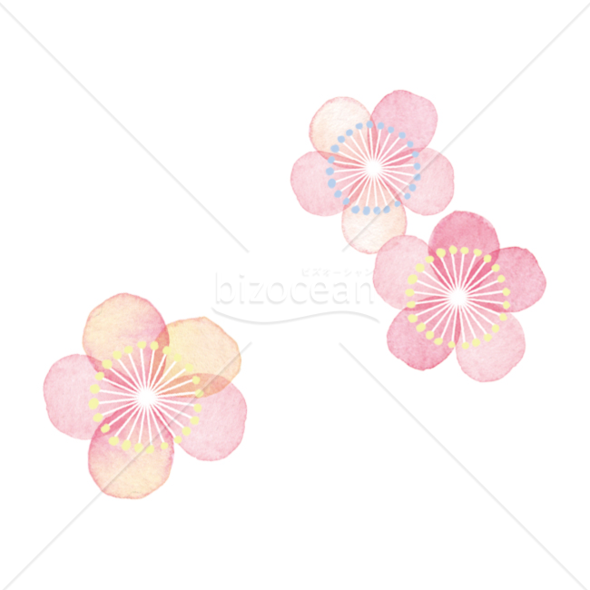 【イラスト】淡い水彩で描かれた梅の花04