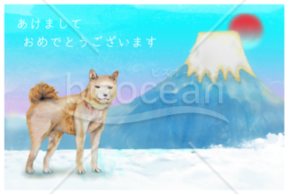 柴犬と富士