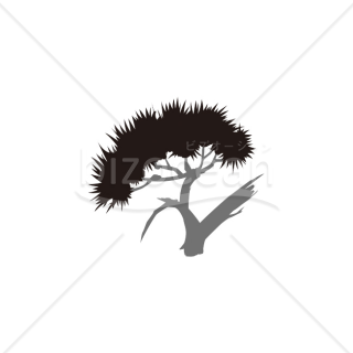 【2026年】「イラスト」モノクロで描いたモダンな松の木