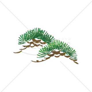 「イラスト」松の木々