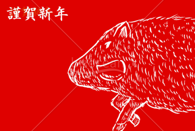 亥年の年賀状２０１9（NO.2082）