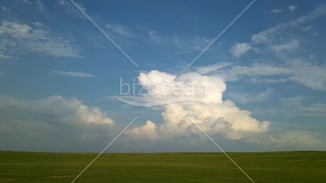 芝生と青空２