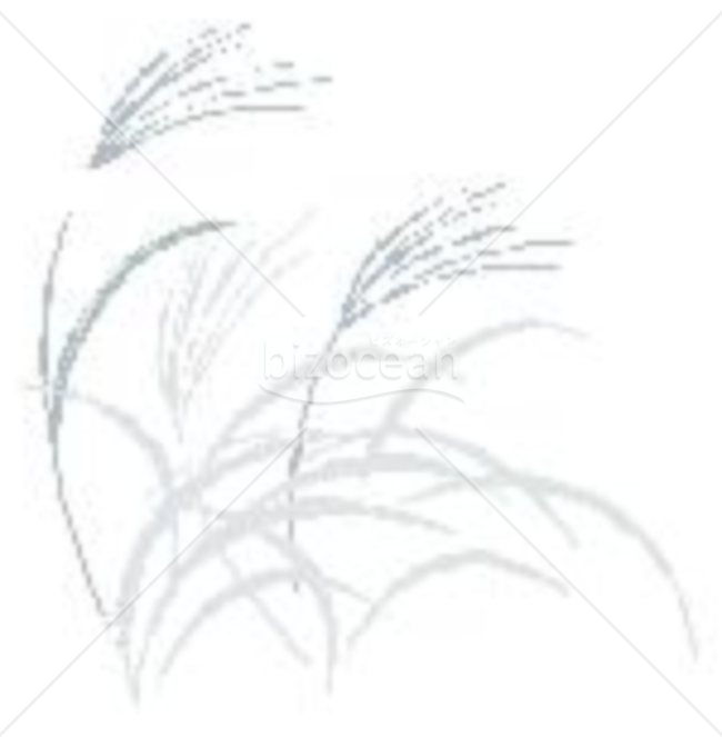 薄・ススキの喪中イラスト（モノクロ）