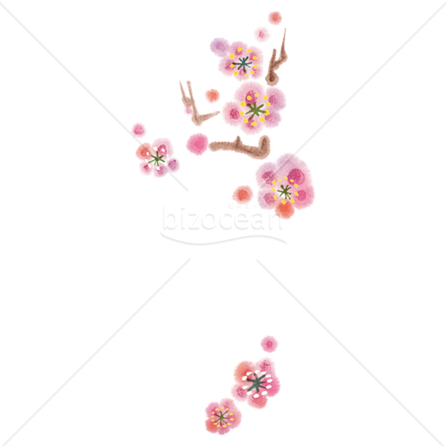 「イラスト」やわらかいタッチの梅の花03