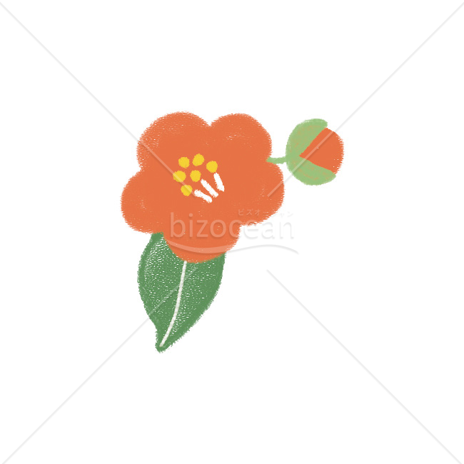 【2026年】「イラスト」素朴で温かい風合いの椿のイラスト