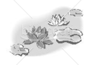 池に咲く蓮の花の喪中イラスト（モノクロ）