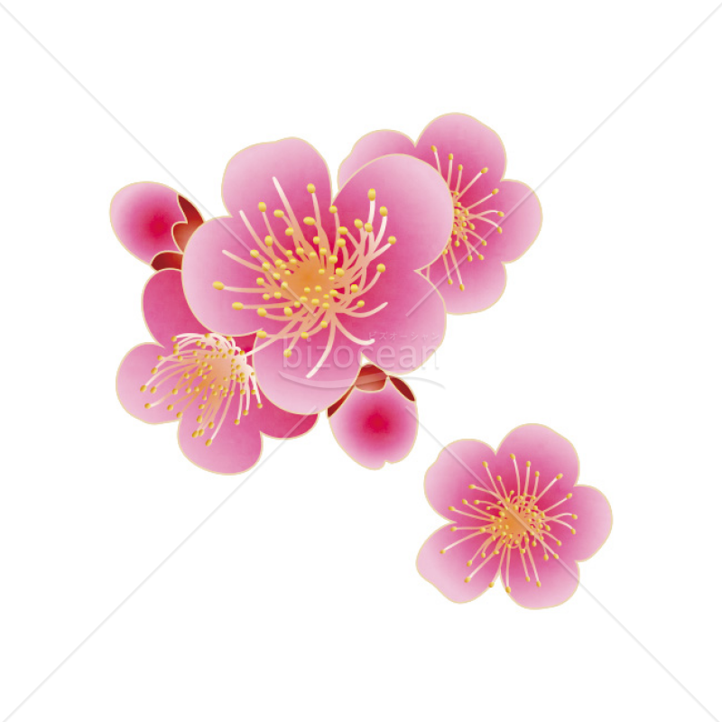 「イラスト」ピンク色の花1