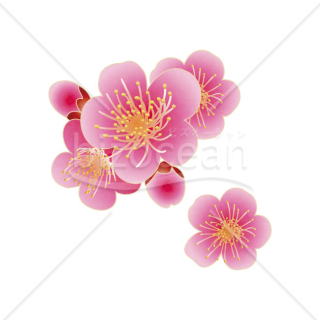 「イラスト」ピンク色の花1