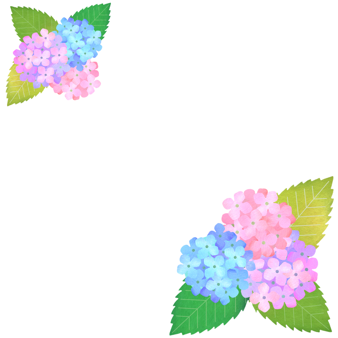 紫陽花の背景透過のフレーム Bizocean ビズオーシャン