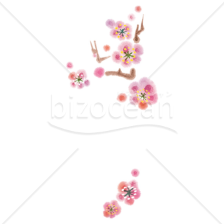 「イラスト」やわらかいタッチの梅の花03