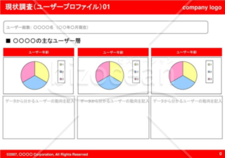 現状調査（ユーザープロファイル）01（Red）