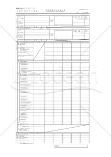 障害者雇用状況報告書（法45条の認定を受けた事業主用、事業主別）・PDF