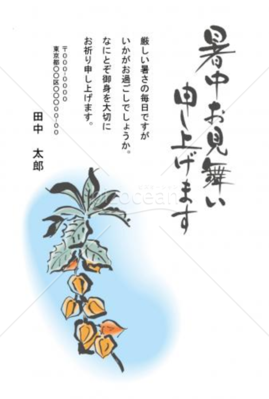 ほおずき・鬼灯の暑中お見舞いハガキ