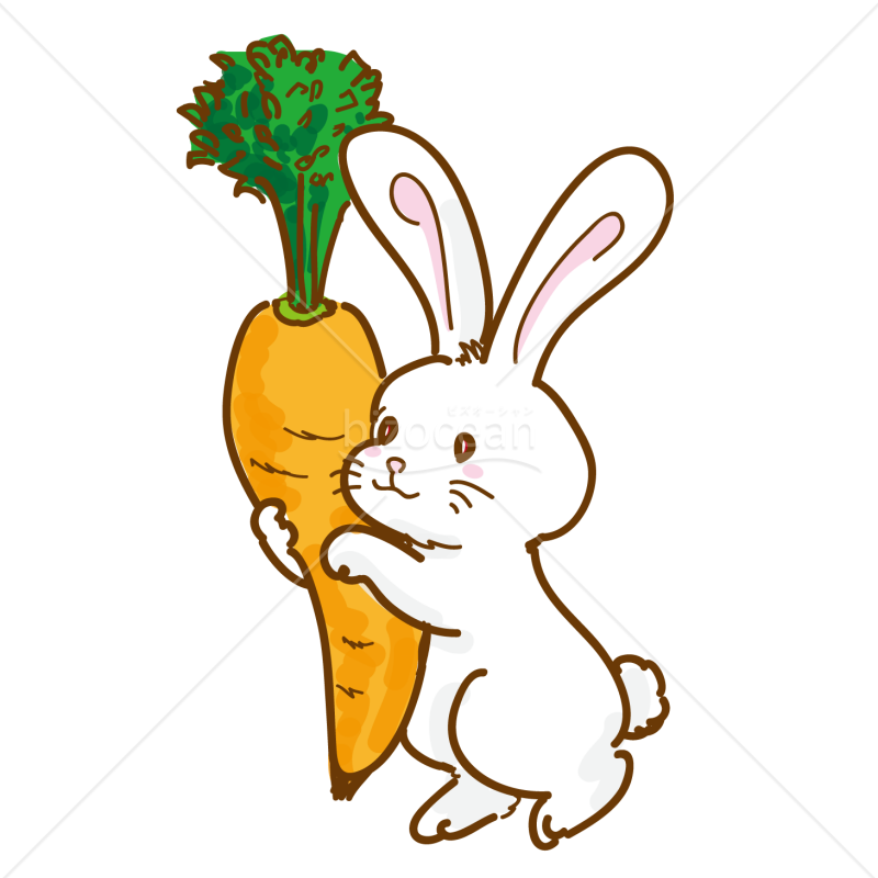 ウサギ_01