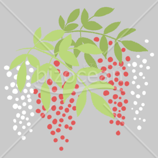 【2026年】「イラスト」紅白の実をつけた縁起の良い南天