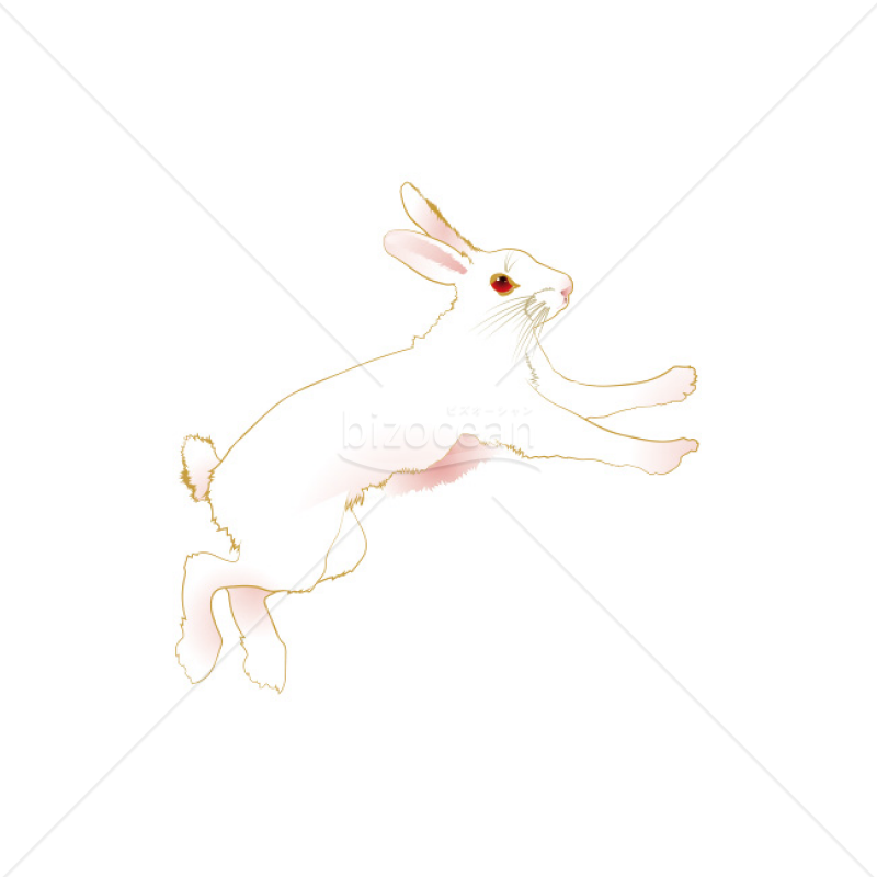 「イラスト」ウサギ5