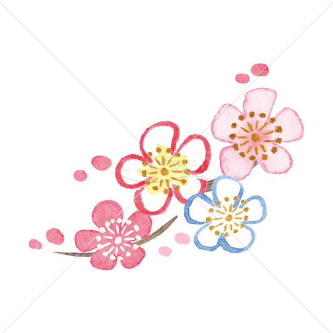 【2026年】「イラスト」彩り豊かな水彩タッチの梅の花