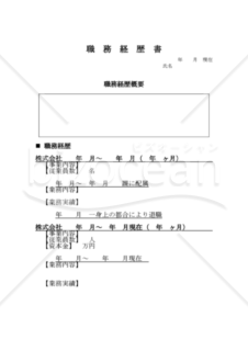 職務経歴書　簡単便利　PDF用