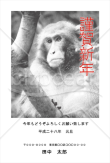 モノクロの猿の写真の年賀状