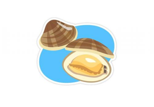 はまぐり Bizocean ビズオーシャン はまぐり Bizocean ビズオーシャン