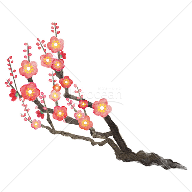 【2026年】「イラスト」水彩画風の質感で描いた紅梅の枝