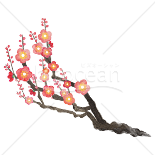 【2026年】「イラスト」水彩画風の質感で描いた紅梅の枝