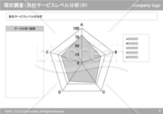 現状調査（自社サービスレベル分析）01（Gray）