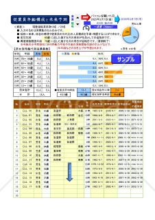 Excel 従業員年齢構成と未来予測（可変式ピラミッドグラフ）