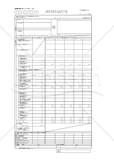 障害者雇用状況報告書（法45条の２の認定を受けた事業主用、グループ全体）・Excel