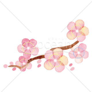 【イラスト】淡い水彩で描かれた梅の木02