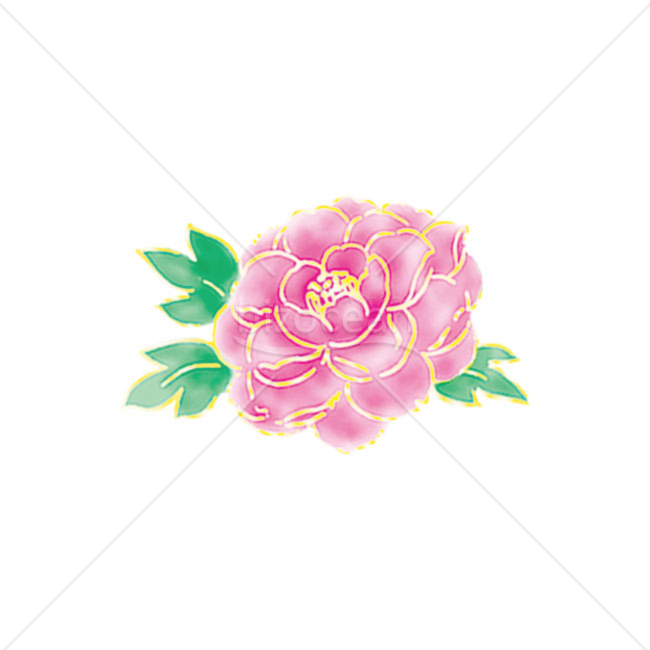 「イラスト」牡丹の花　紫