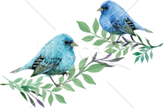 2羽の青い小鳥のイラスト