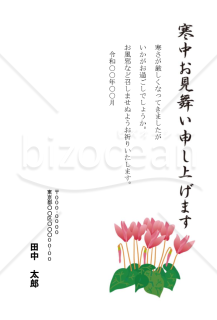 シクラメンの寒中見舞いはがき