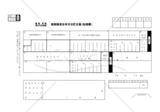 健康保険・厚生年金保険被保険者生年月日訂正届（社会保険庁版）