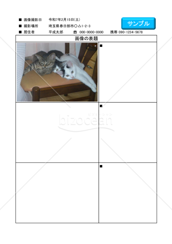 エクセル写真台帳 マクロなし（3枚）