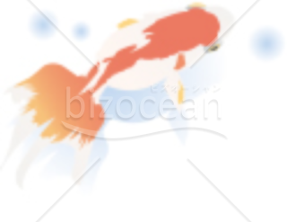 泳ぐ金魚の残暑見舞い画像素材