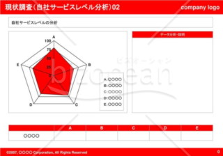 現状調査（自社サービスレベル分析）02（Red）