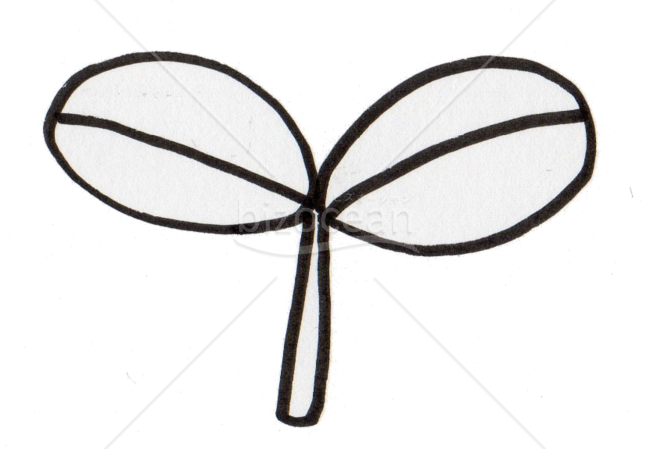 新芽その２(線画)