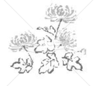 ３輪の菊の花の喪中イラスト モノクロ Bizocean ビズオーシャン
